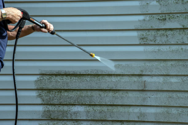 Best Roof Pressure Washing  in Desoto Lakes, FL