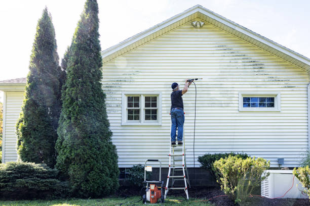 Best Roof Power Washing Services  in Desoto Lakes, FL
