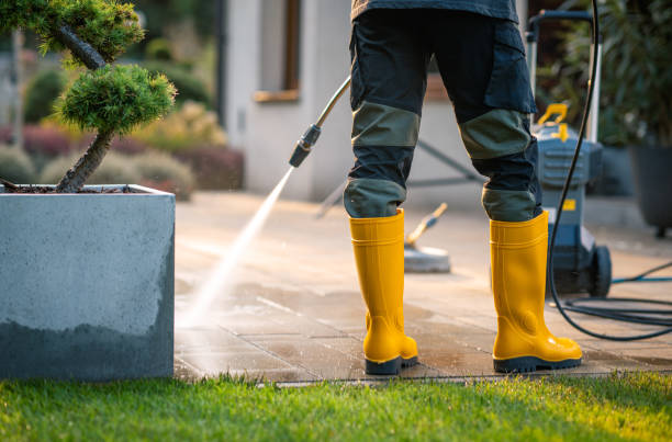 Best Pressure Washing Near Me  in Desoto Lakes, FL